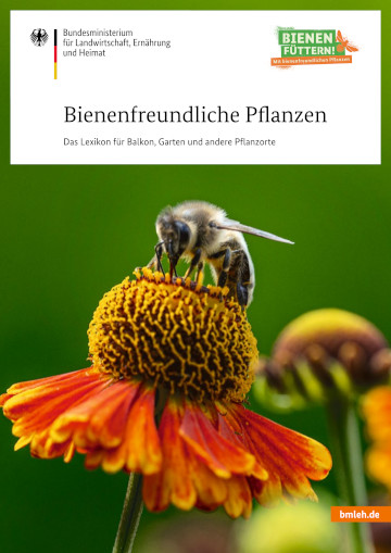 Eine Biene auf einer Blumenblüte