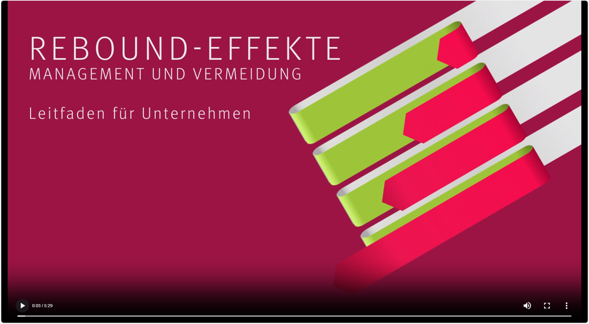 Screenshot Animationsfilm MERU-Projekt