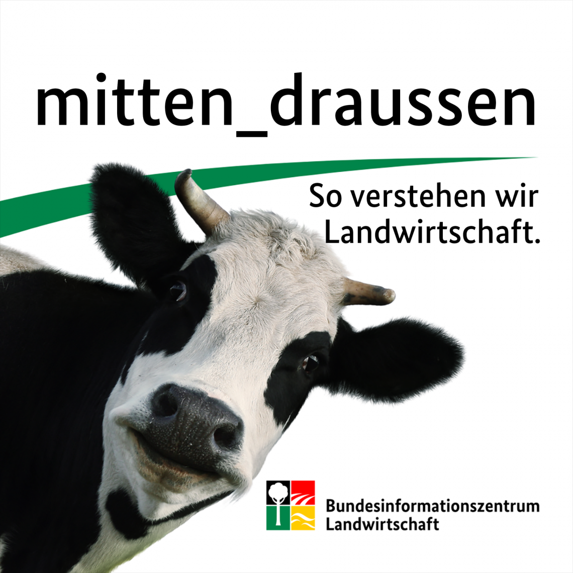 mitten_draussen Coverbild