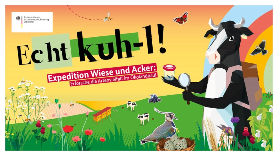Schulwettbewerb "Echt kuh-l!"