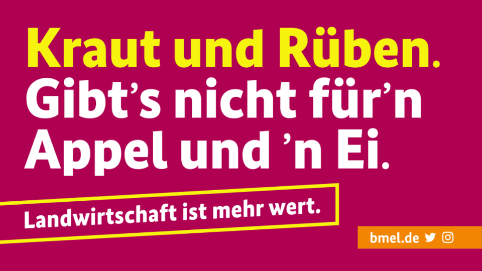Bild: Kraut und Rüben