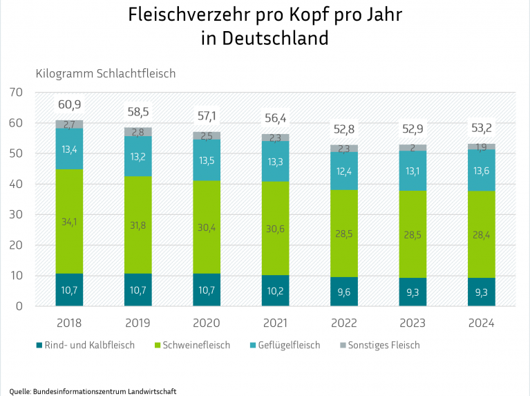 Eine Balkengrafik mit dem Titel "Fleischverzehr pro Kopf pro Jahr in Deutschland", die den Verbrauch in Kilogramm Schlachtfleisch von 2018 bis 2024 darstellt. Die Balken sind nach Rind- und Kalbfleisch (dunkelblau), Schweinefleisch (grün), Geflügelfleisch (hellblau) und Sonstiges Fleisch (grau) aufgeschlüsselt. Der Gesamtverbrauch sinkt von 60,9 kg auf 53,2 kg pro Jahr. Die Daten stammen vom Bundesinformationszentrum Landwirtschaft.